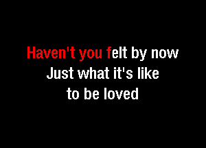 Haven't you felt by now

Just what it's like
to be loved