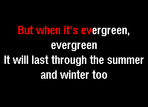 But when it's evergreen,
evergreen

It will last through the summer
and winter too