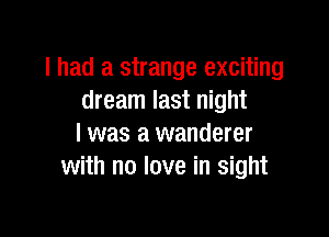 I had a strange exciting
dream last night

I was a wanderer
with no love in sight
