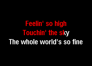 Feelin' so high
Touchin' the sky

The whole world's so fine