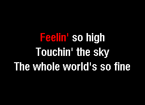 Feelin' so high
Touchin' the sky

The whole world's so fine