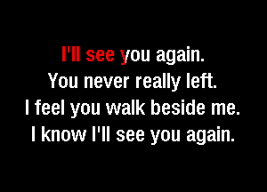 I'll see you again.
You never really left.

I feel you walk beside me.
I know I'll see you again.