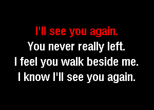 I'll see you again.
You never really left.

I feel you walk beside me.
I know I'll see you again.