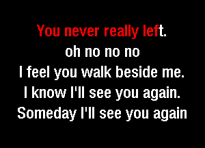 You never really left.
oh no no no
I feel you walk beside me.
I know I'll see you again.
Someday I'll see you again