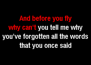 And before you fly
why can't you tell me why

you've forgotten all the words
that you once said