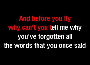 And before you fly
why can't you tell me why

you've forgotten all
the words that you once said