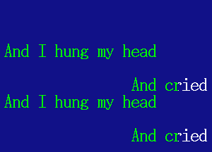 And I hung my head

And cried
And I hung my head

And cried