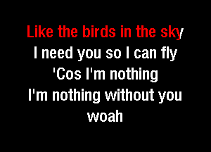 Like the birds in the sky
I need you so I can fly
'Cos I'm nothing

I'm nothing without you
woah