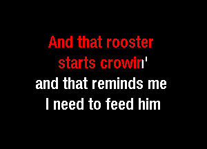 And that rooster
starts crowin'

and that reminds me
I need to feed him