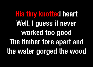 His tiny knotted heart
Well, I guess it never
worked too good
The timber tore apart and
the water gorged the wood