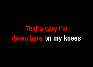 That's why I'm

down here on my knees