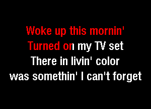 Woke up this mornin'
Turned on my TV set

There in livin' color
was somethin' I can't forget