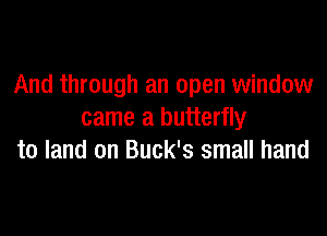 And through an open window

came a butterfly
to land on Buck's small hand