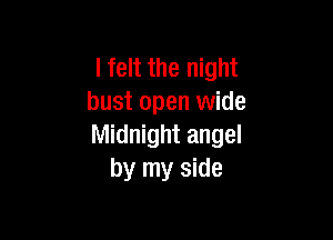 lfelt the night
bust open wide

Midnight angel
by my side