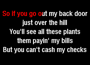 So if you go out my back door
just over the hill
You'll see all these plants
them payin' my bills
But you can't cash my checks