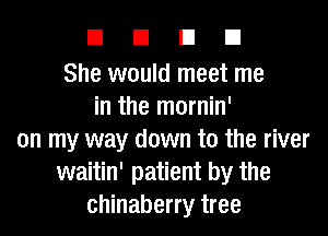 EIEIEIEI

She would meet me
in the mornin'
on my way down to the river
waitin' patient by the
chinaberry tree