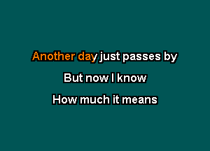 Another dayjust passes by

But now I know

How much it means