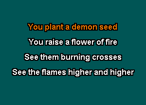 You plant a demon seed
You raise a flower off'Ire

See them burning crosses

See the flames higher and higher