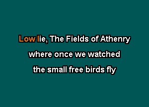 Low lie, The Fields ofAthenry

where once we watched

the small free birds fly
