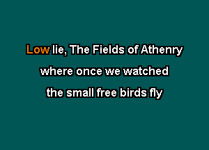 Low lie, The Fields of Athenry

where once we watched

the small free birds fly