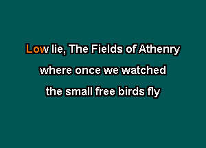Low lie, The Fields of Athenry

where once we watched

the small free birds fly