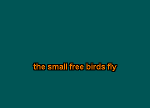 the small free birds fly