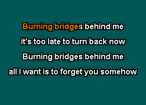 Burning bridges behind me
it's too late to turn back now
Burning bridges behind me

all I want is to forget you somehow