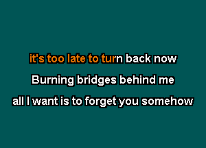 it's too late to turn back now

Burning bridges behind me

all I want is to forget you somehow