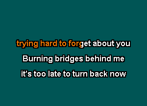 trying hard to forget about you

Burning bridges behind me

it's too late to turn back now