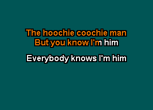 The hoochie coochie man
But you know I'm him

Everybody knows I'm him
