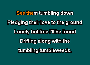 See them tumbling down
Pledging their love to the ground
Lonely but free I'll be found

Drifting along with the

tumbling tumbleweeds.