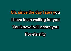 Oh, since the dayl saw you

I have been waiting for you

You know I will adore you

For eternity