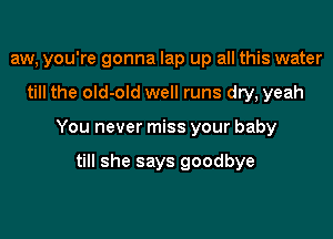 aw, you're gonna lap up all this water

till the old-old well runs dry, yeah

You never miss your baby

till she says goodbye