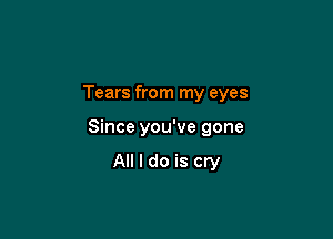 Tears from my eyes

Since you've gone

All I do is cry