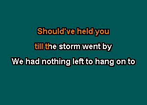 Should've held you

till the storm went by

We had nothing left to hang on to