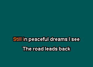 Still in peaceful dreams I see

The road leads back