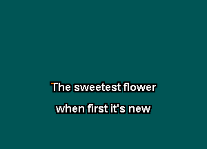 The sweetest flower

when first it's new