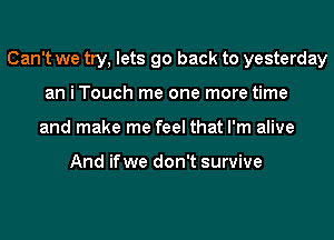 Can't we try, lets go back to yesterday
an i Touch me one more time
and make me feel that I'm alive

And ifwe don't survive