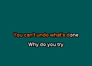 You can't undo what's done

Why do you try