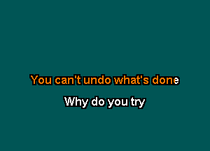 You can't undo what's done

Why do you try