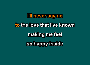 I'll never say no

to the love that I've known
making me feel

so happy inside