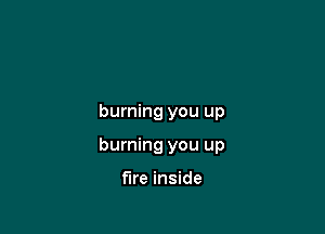 burning you up

burning you up

flre inside