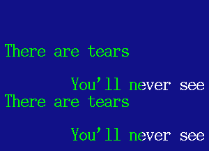 There are tears

You'll never see
There are tears

You ll never see
