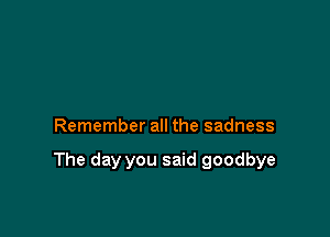 Remember all the sadness

The day you said goodbye