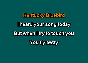 Kentucky Bluebird

I heard your song today

But when I try to touch you

You fly away
