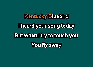 Kentucky Bluebird

I heard your song today

But when I try to touch you

You fly away