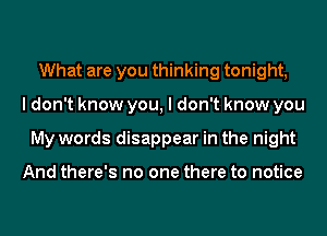 What are you thinking tonight,
I don't know you, I don't know you
My words disappear in the night

And there's no one there to notice