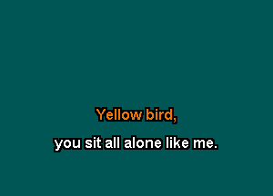 Yellow bird,

you sit all alone like me.