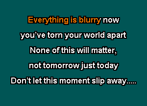 Everything is blurry now
youive torn your world apart
None of this will matter,
not tomorrowjust today

Donit let this moment slip away .....