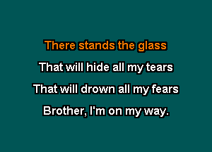 There stands the glass

That will hide all my tears

That will drown all my fears

Brother, I'm on my way.